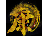 康 logo design