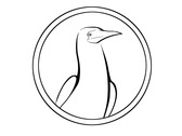 白腹鰹鳥 文創logo設計