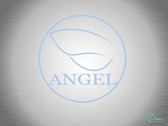 ANGEL-2