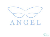 ANGEL-3