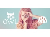 OWL CIS Logo