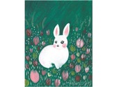 鬱金香花園裡的兔兔