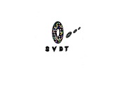 上海生動數碼科技公司 SVDT