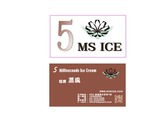 5 MS ICE