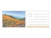 花蓮明信片設計-六十石山