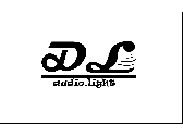 DL logo 名片
