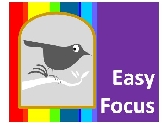 備受矚目-easy focus