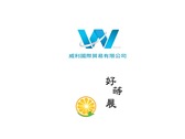 Willie國際貿易公司logo